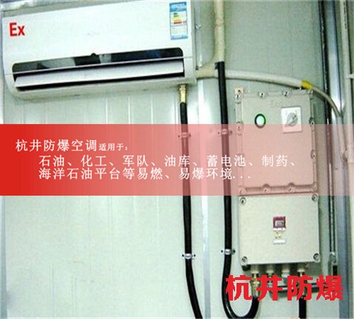 YPF030大企業防爆風冷屋頂式空調圖片